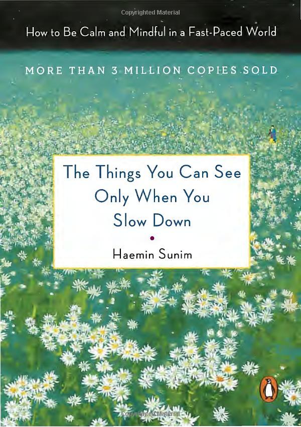 The Things You Can See Only When You Slow Down How To Be Calm And Mindful In A Fast - Paced World