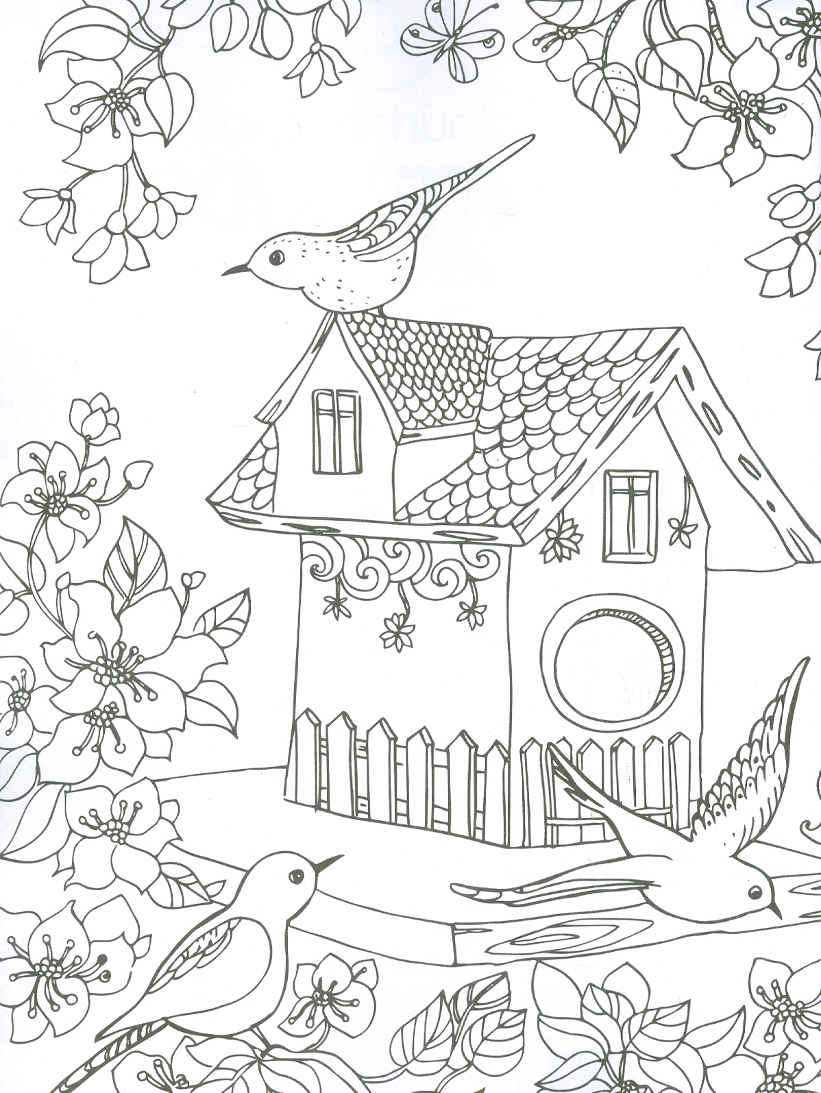 Countryside - Adults Colouring Book (Sách tô màu dành cho người lớn: Nông Thôn)