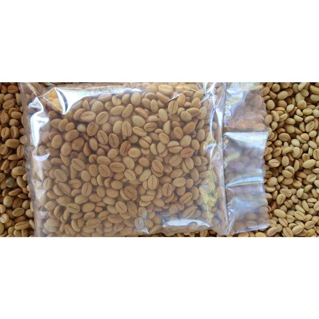 0,5 KG HẠT GIỐNG CÀ PHÊ XANH LÙN .