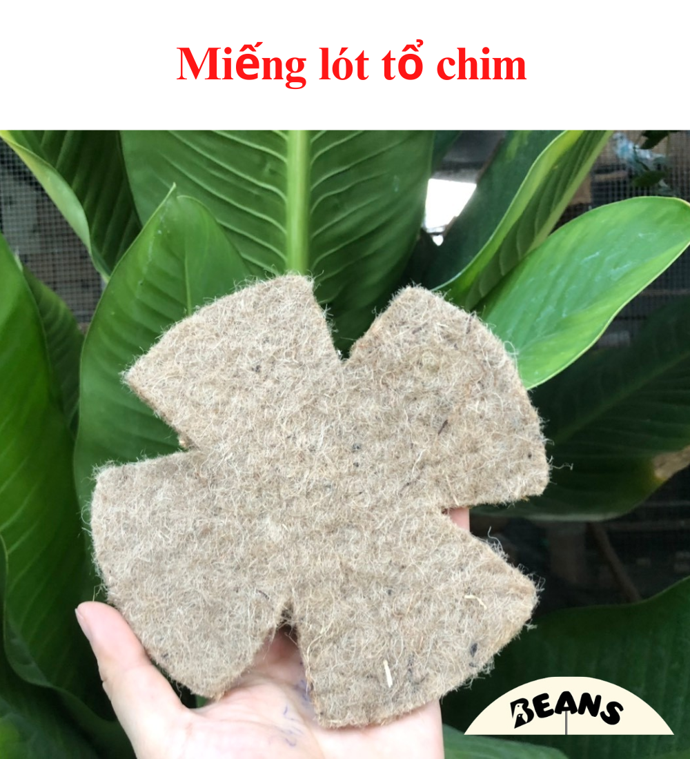 Miếng lót tổ cho chim