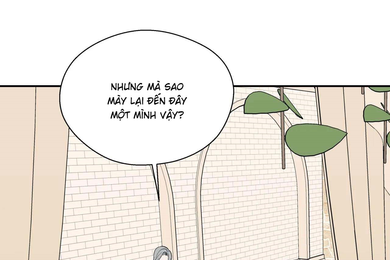 ám ảnh pheromone chapter 57 51