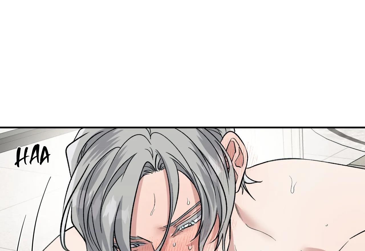 ám ảnh pheromone chapter 43 80