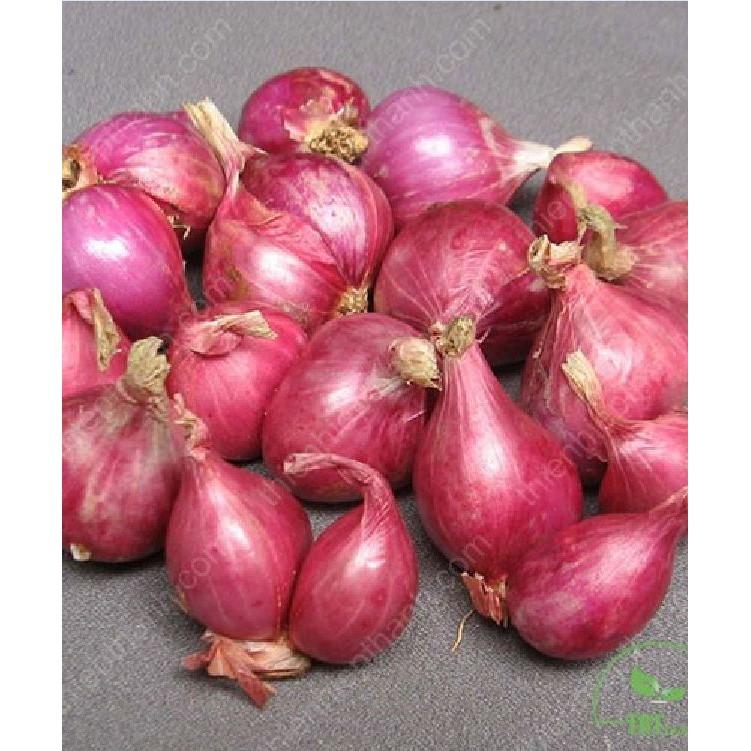 Hạt giống hành gốc đỏ cao sản 2gr/gói