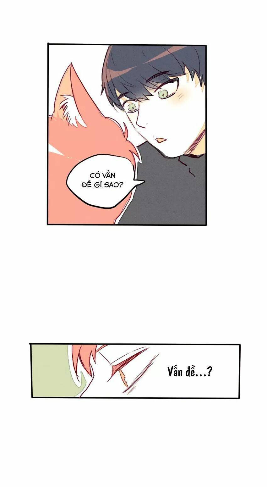 cưới, tôi ư? chapter 28 17