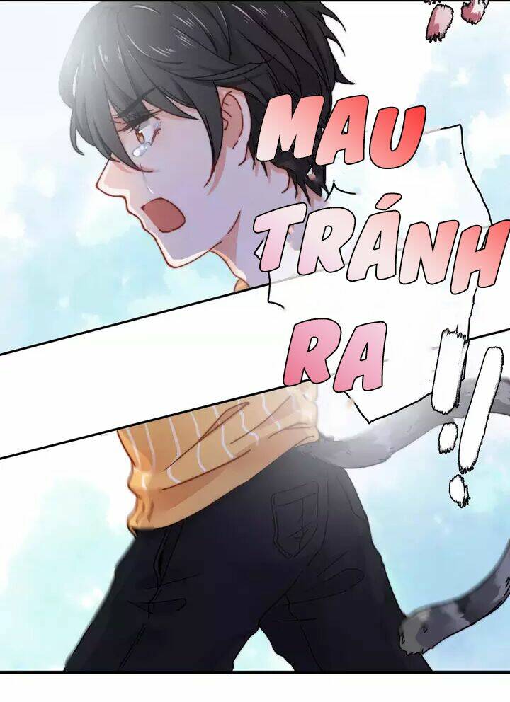 thập quang mật ngữ chapter 11 5