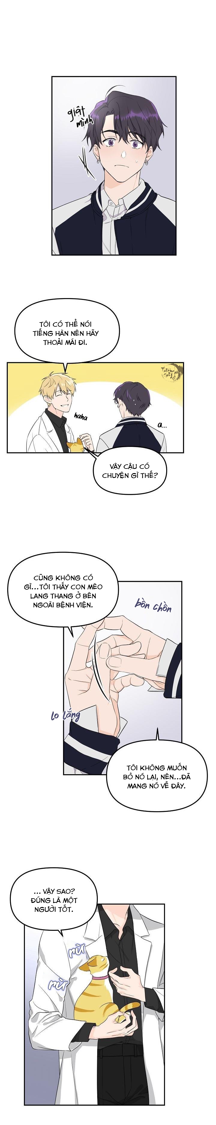 hoa ly hổ chapter 1 15