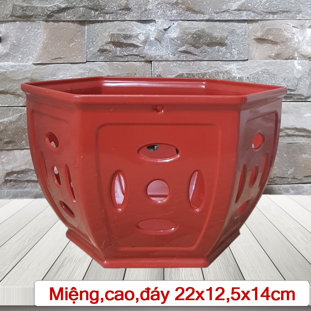 5 Chậu nhựa Đồng Tiền trồng lan cao cấp siêu bền đường kính 22x12.5x14cm- 77590