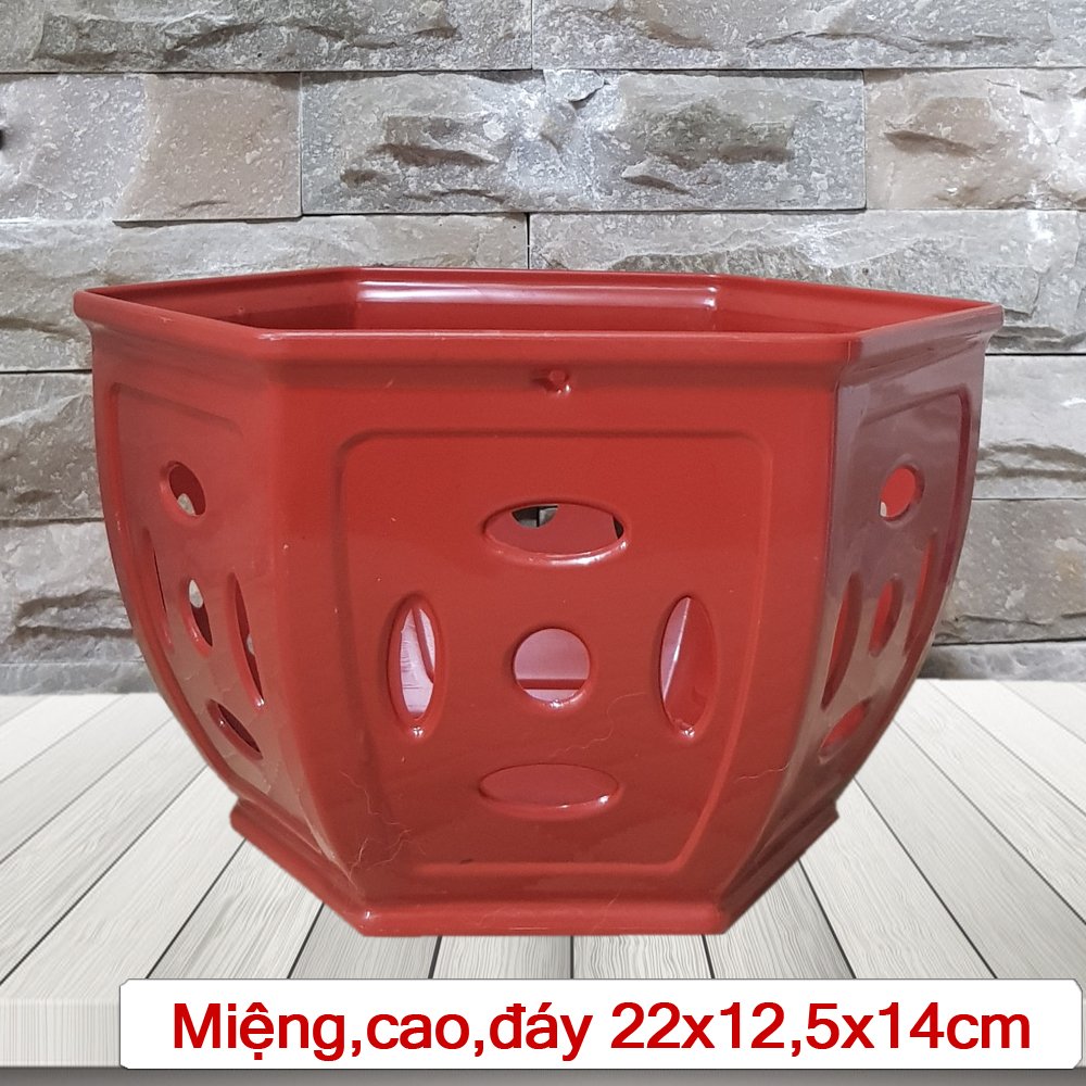 25 Chậu nhựa Đồng Tiền trồng lan cao cấp siêu bền đường kính 22x12.5x14cm- 77592