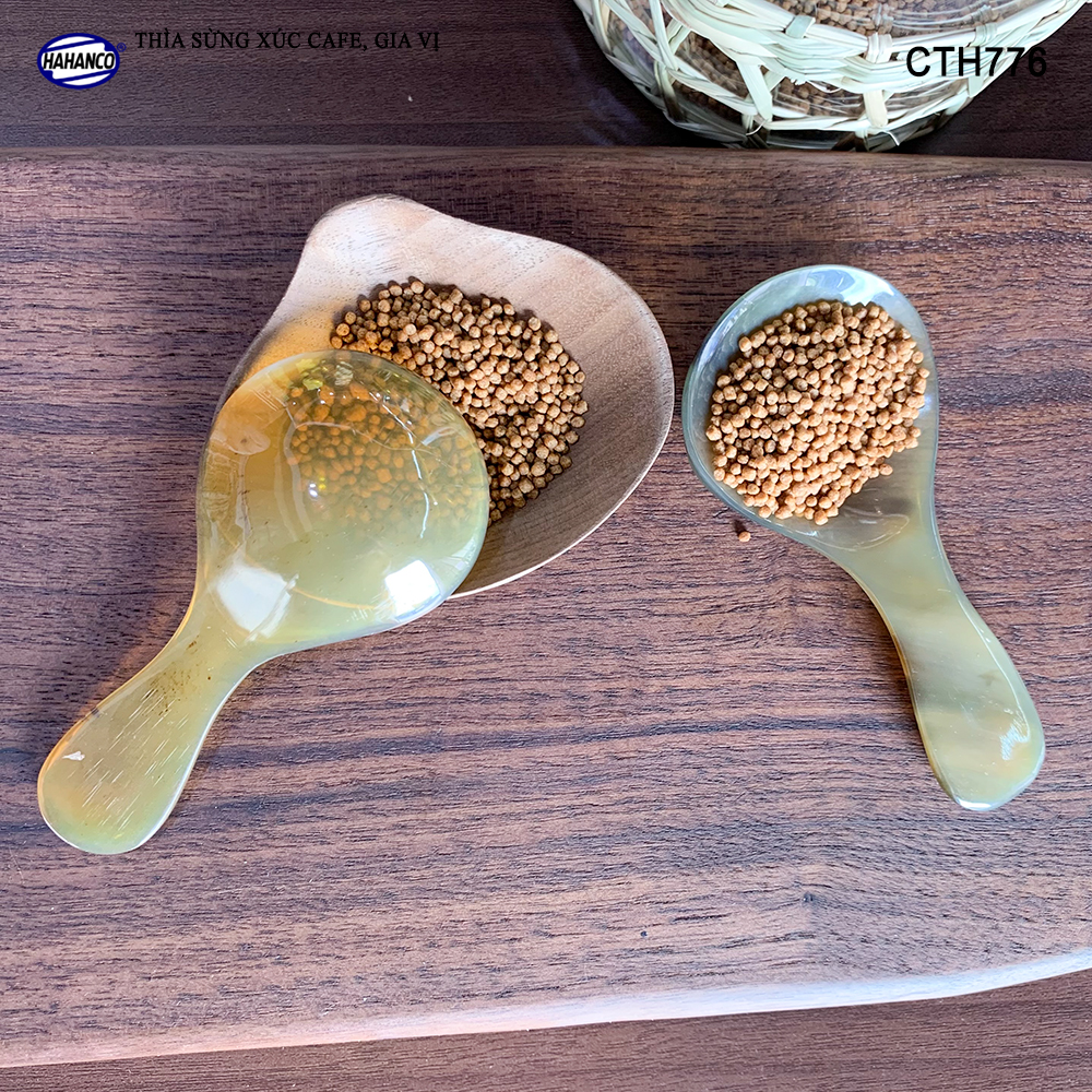 Thìa Xúc Gia Vị Đồ Khô Bằng Sừng HAHANCO Size Nhỏ 9cm_01 Chiếc