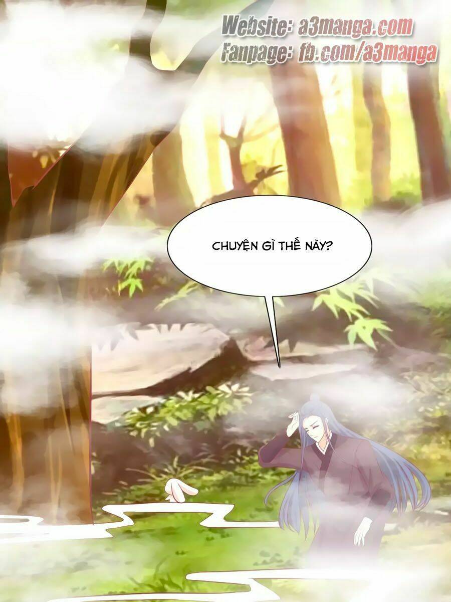 thỏ yêu tiểu vương phi chapter 94 2