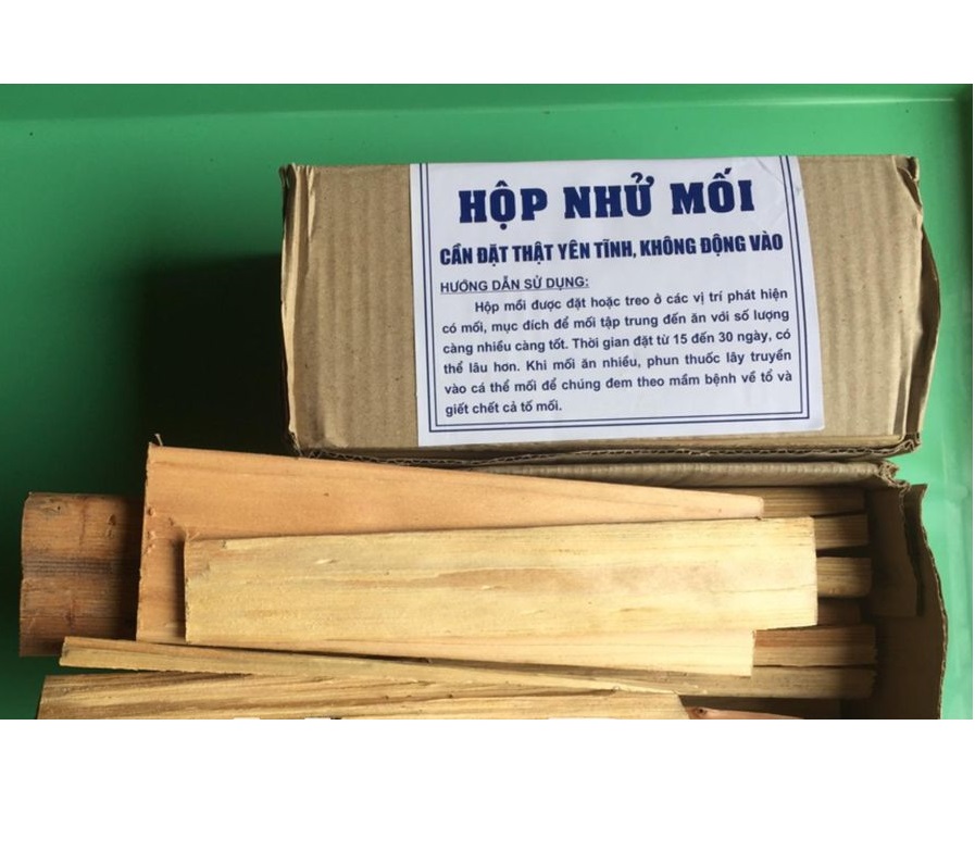 Diệt mối sinh học PMC90 - Thuốc tiêu diệt mối chúa tận gốc
