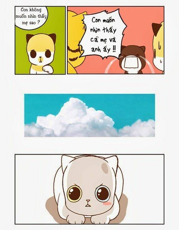 papi nyang chapter 17 10