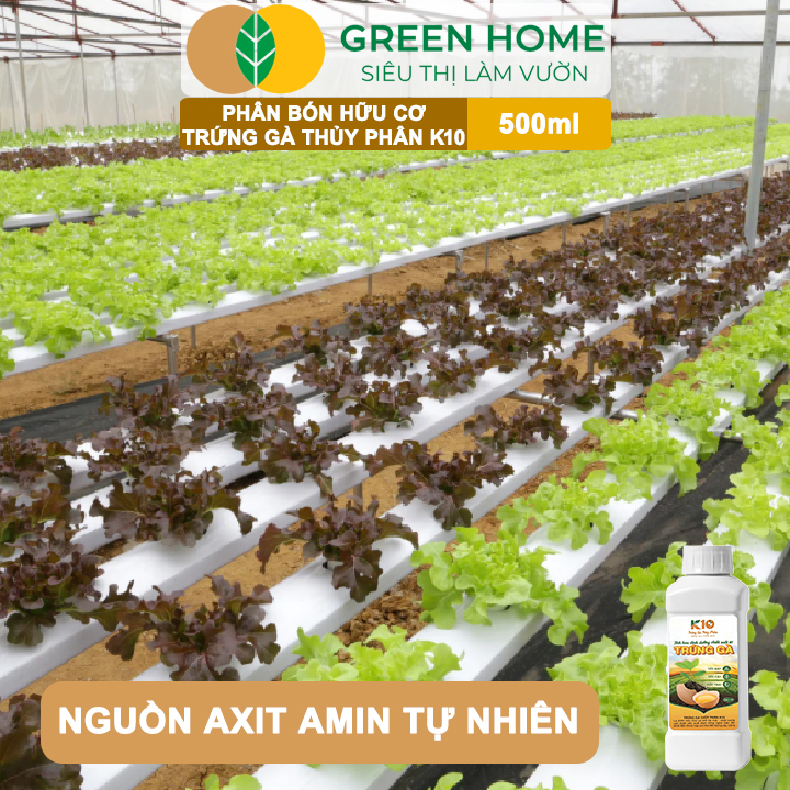 Phân Đạm Trứng Gà Thủy Phân K10 GreenHome, Chai 500ml, Axit Amin Tự Nhiên Từ Trứng Gà, Cải Tạo Đất