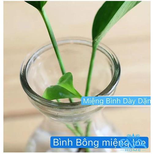 Bình , lọ thủy tinh miệng loe cổ thắt cắm hoa trang trí..