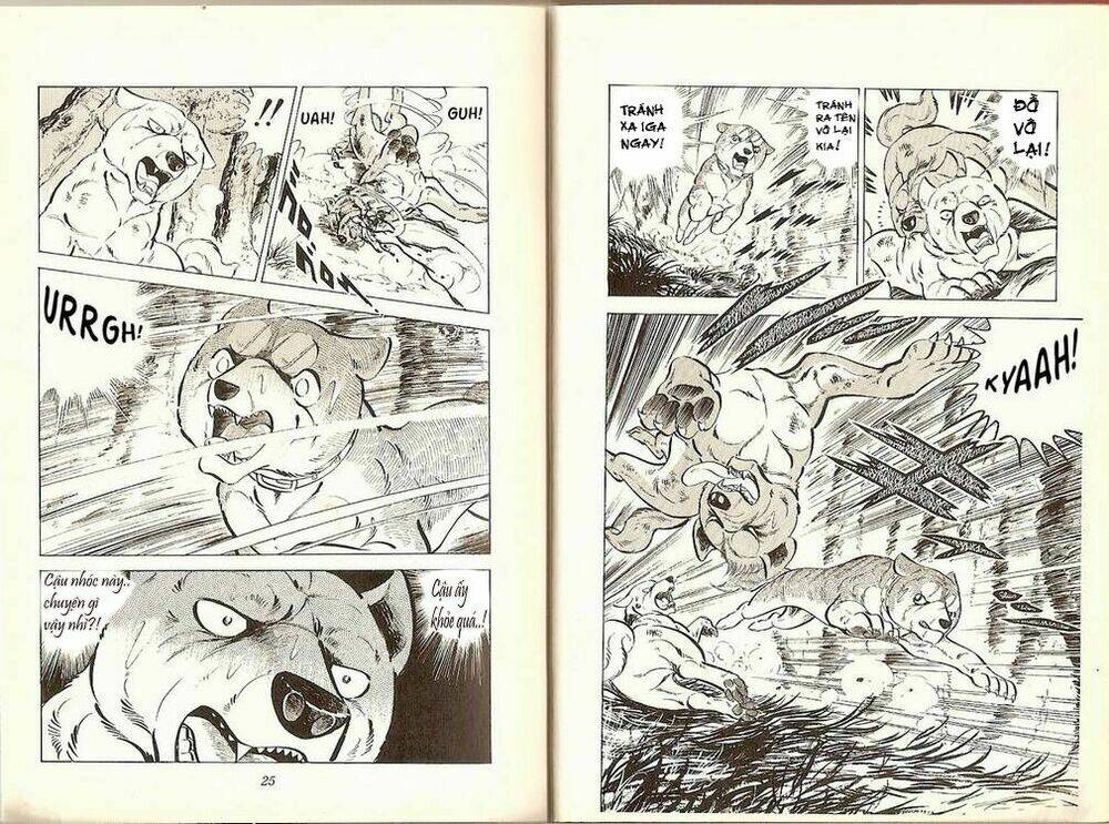 chú chó có nghĩa - ginga nagareboshi gin chapter 19 11