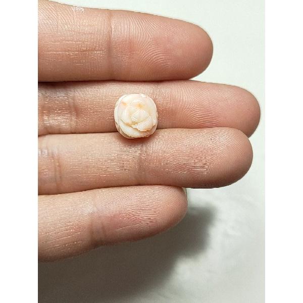 410- L Cham San Hô Không Nhuộm