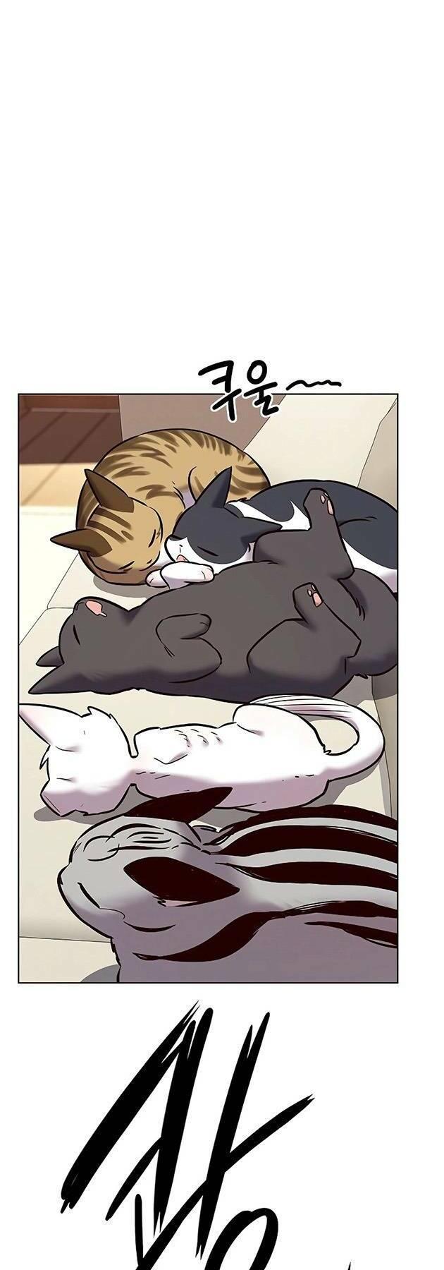 biến thân thành mèo chapter 243 58