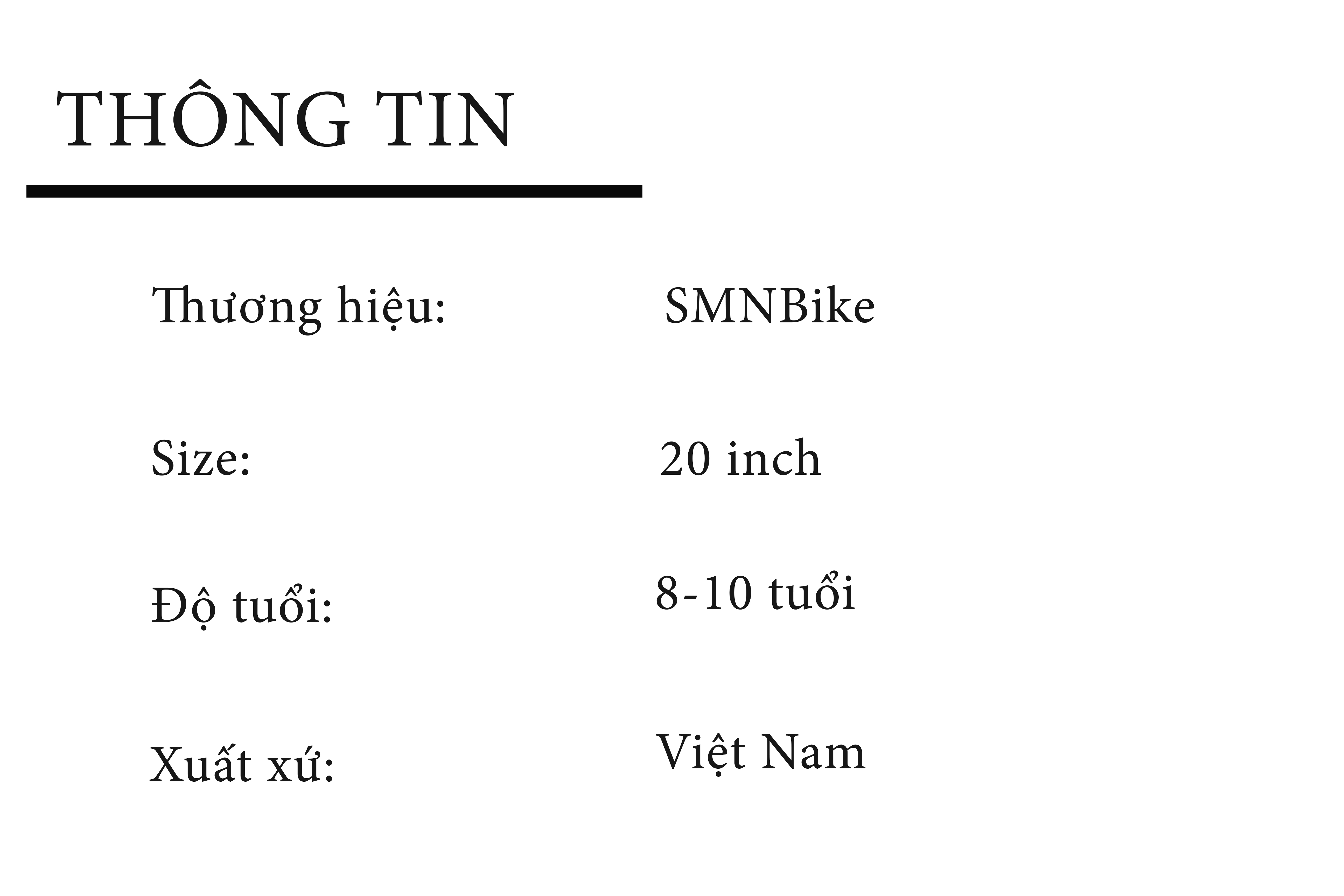 Xe đạp thời trang SMNBike WT 20-01 - 20 inch ( 6-8 tuổi )