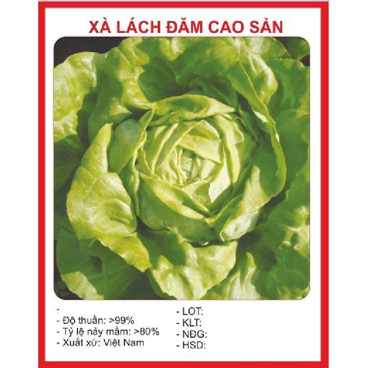 Hạt Giống Xà lách đăm xanh
