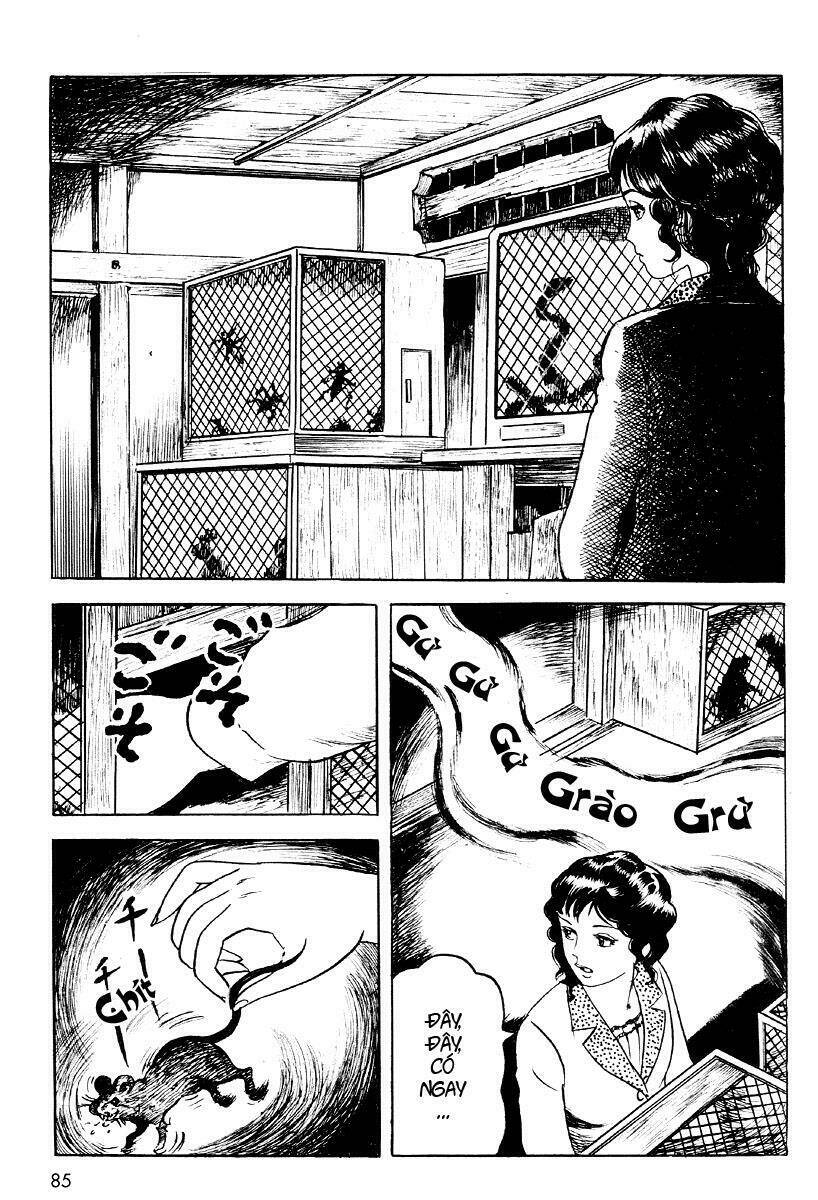 skin & bone chapter 3 25