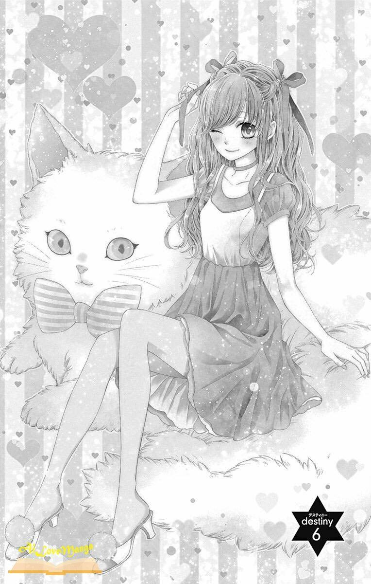 kirameki no lion boy chapter 6 1