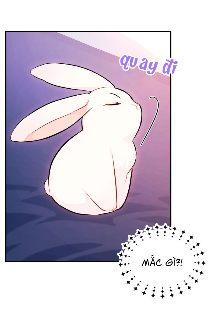 mối liên kết giữa báo đen và bé thỏ chapter 5 48