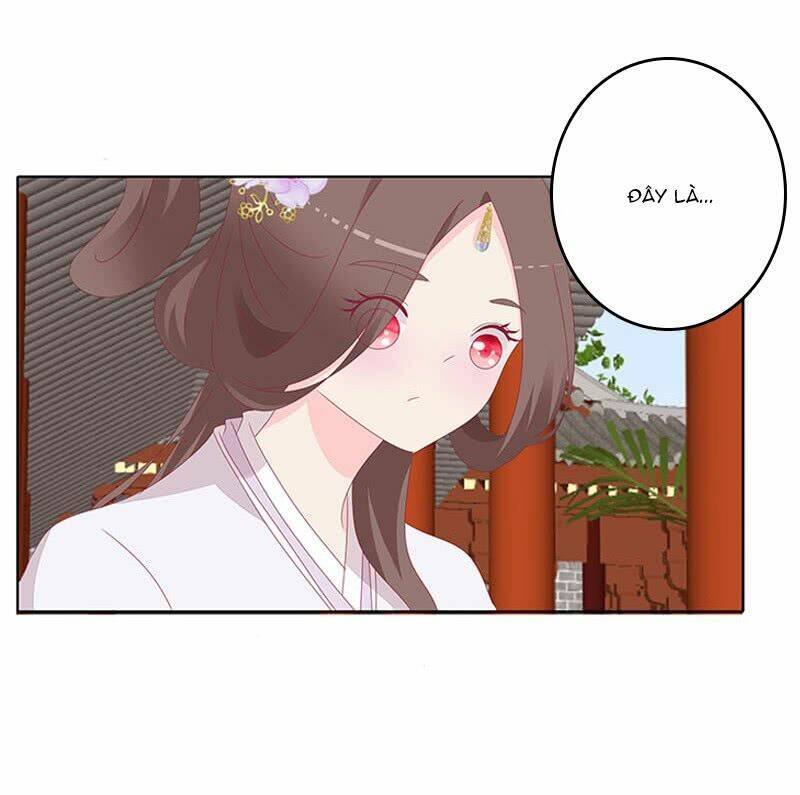 tướng quân mời ra trận chapter 67 20