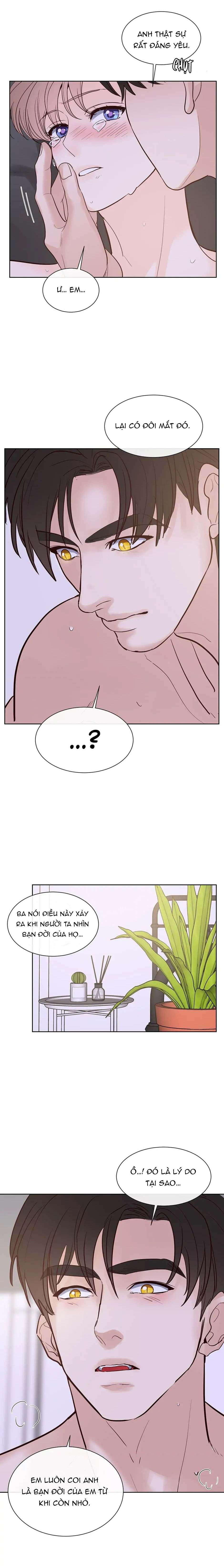 [har] đụng là nóng mà chạm là chạy chapter 102 6