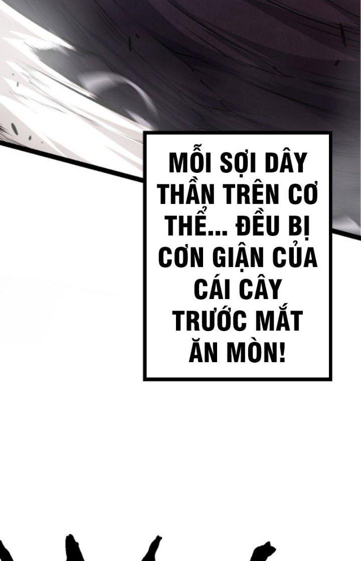 từ cây cổ thụ bắt đầu tiến hóa chapter 13 19