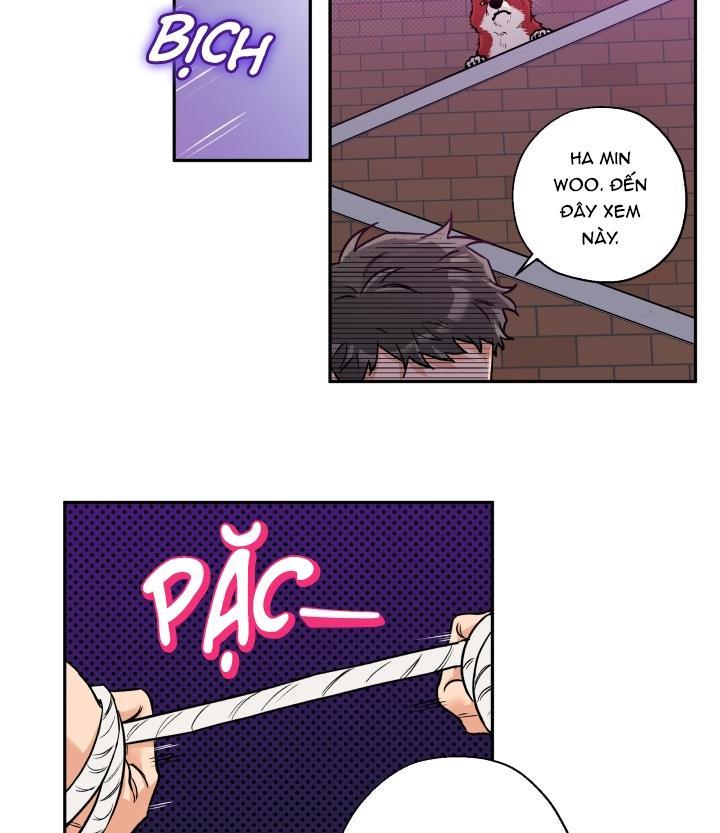 gâu gâu! chapter 18 48