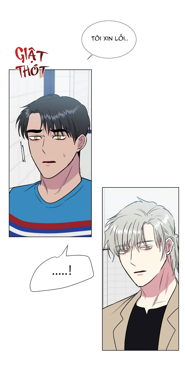 dưới đôi cánh ấy chapter 31 30