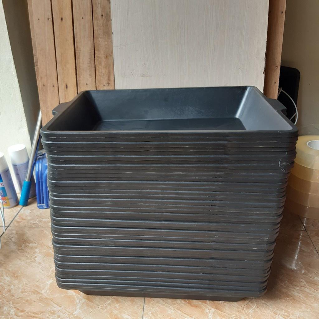 Khay trồng đen rau mầm tiện dụng loại to đẹp
