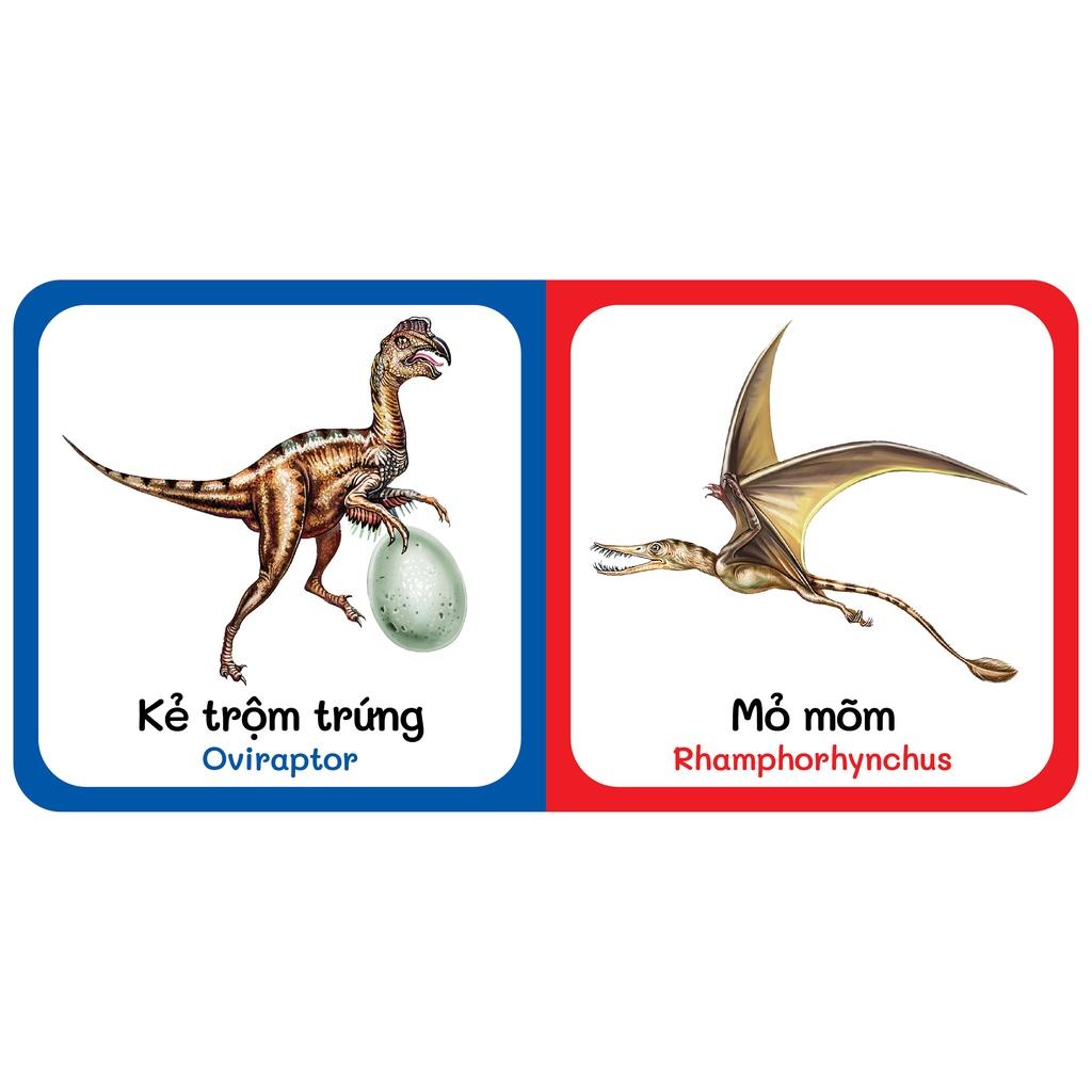 Sách - Baby'S First Picture Dictionary - Từ Điển Bằng Hình Đầu Tiên Của Bé - Khủng Long - Dinosaurs