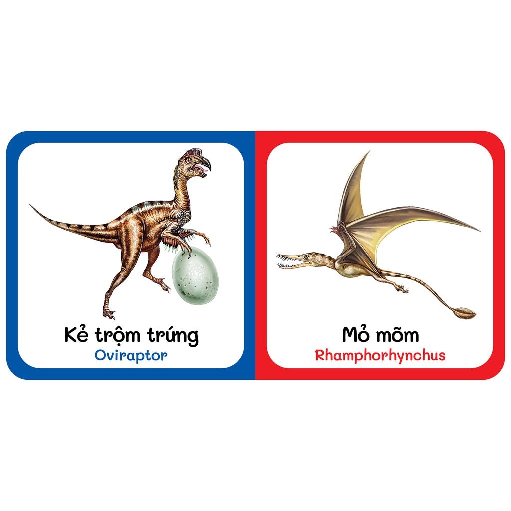 Sách - Baby'S First Picture Dictionary - Từ Điển Bằng Hình Đầu Tiên Của Bé - Khủng Long - Dinosaurs (Bìa Cứng)