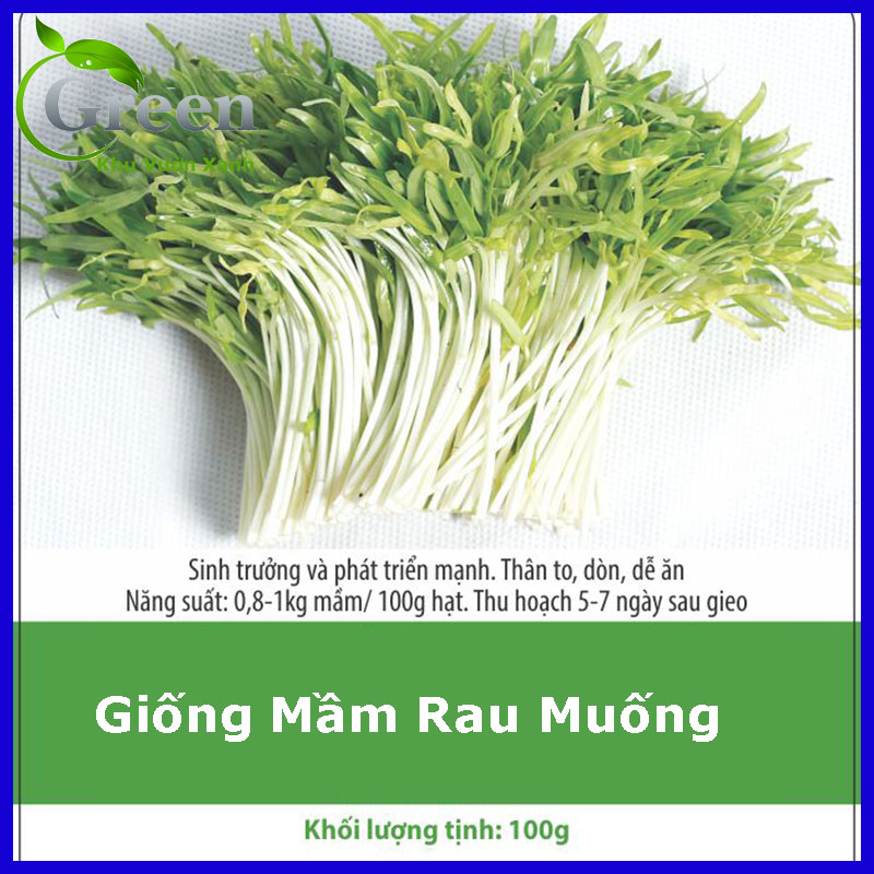 Hạt Giống Mầm Rau Muống 100 Gam