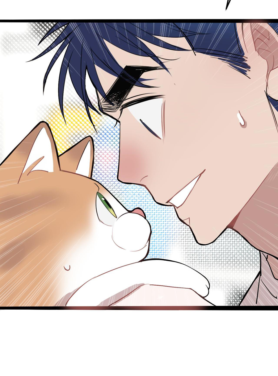 rốt cuộc bé mèo đang nghĩ gì ? chapter 11 62