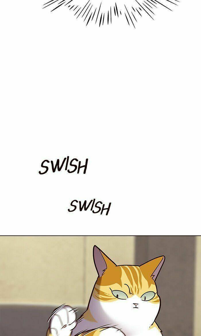 biến thân thành mèo chapter 65 67