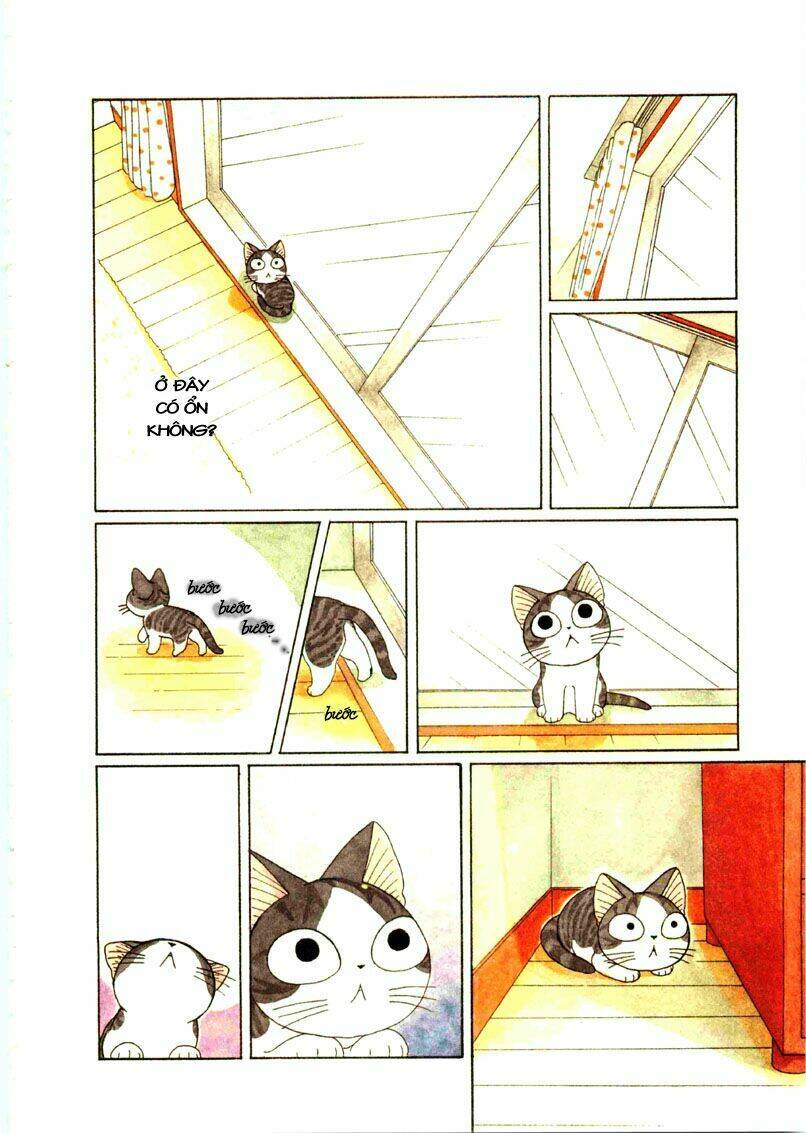 chi's sweet home chapter 65 3