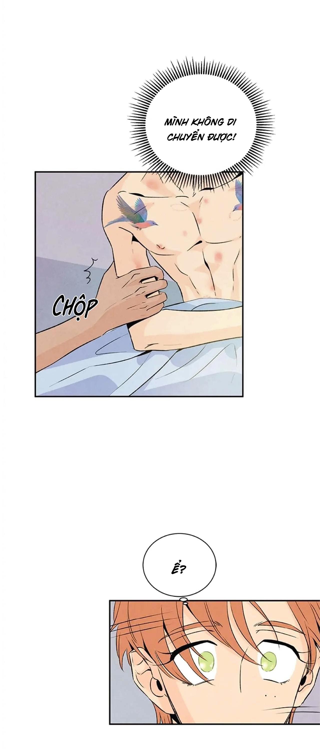 bona sort chapter 20 34