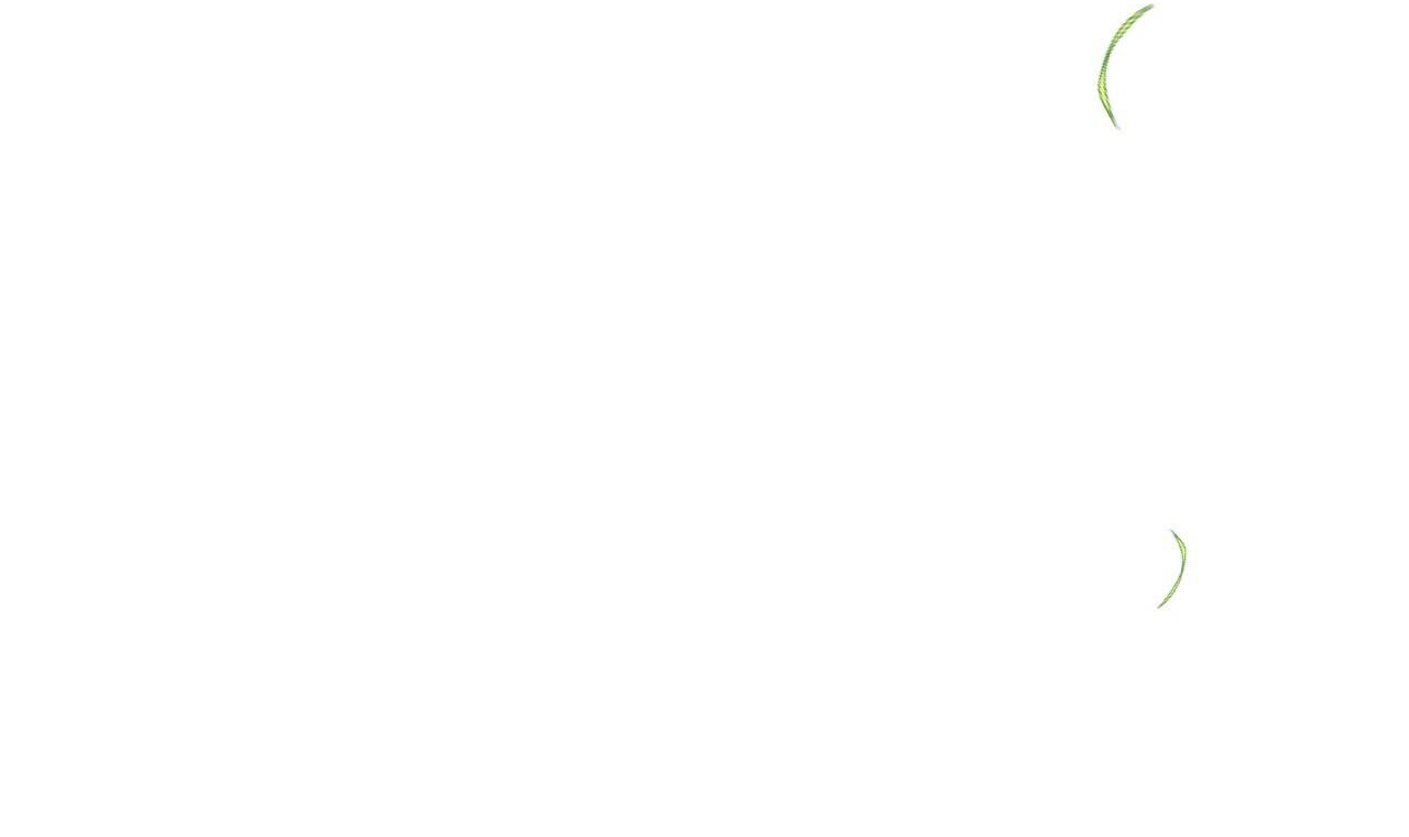 những chú thỏ của hapypy chapter 53 156