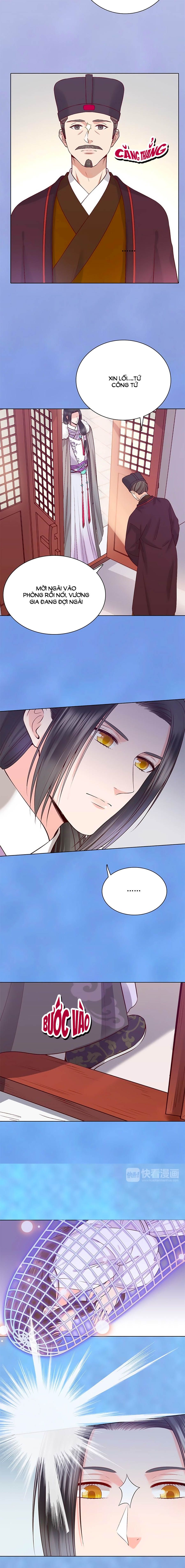 mỹ nhân già rồi chapter 33 5