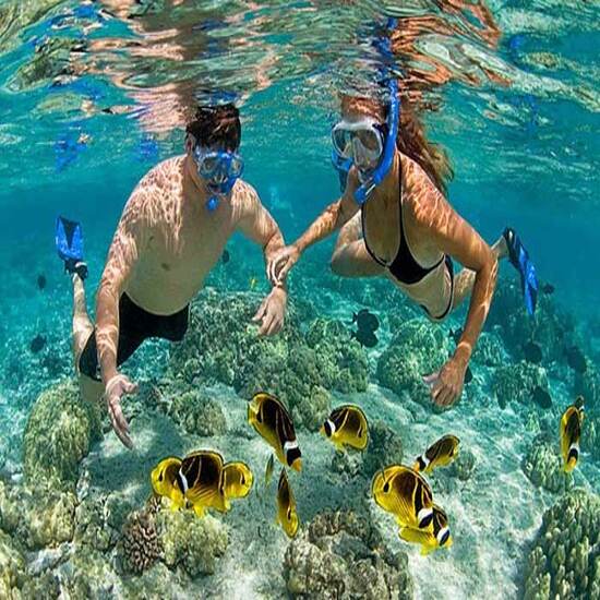 [E-Voucher Vietravel] Thái Lan: Pattaya - Bangkok (Khám phá Thủy cung Underwater World Pattaya, Tặng Buffet tại BaiYoke Sky)