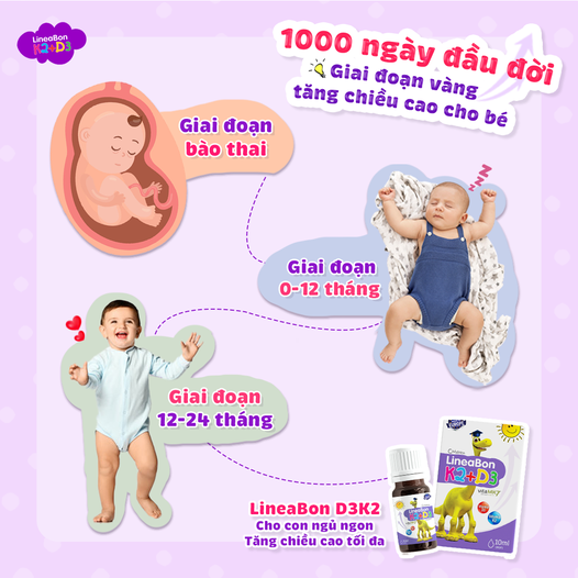 Combo 3 hộp Vitamin hỗ trợ chống còi xương, tăng chiều cao cho trẻ sơ sinh và trẻ nhỏ LineaBon K2 + D3