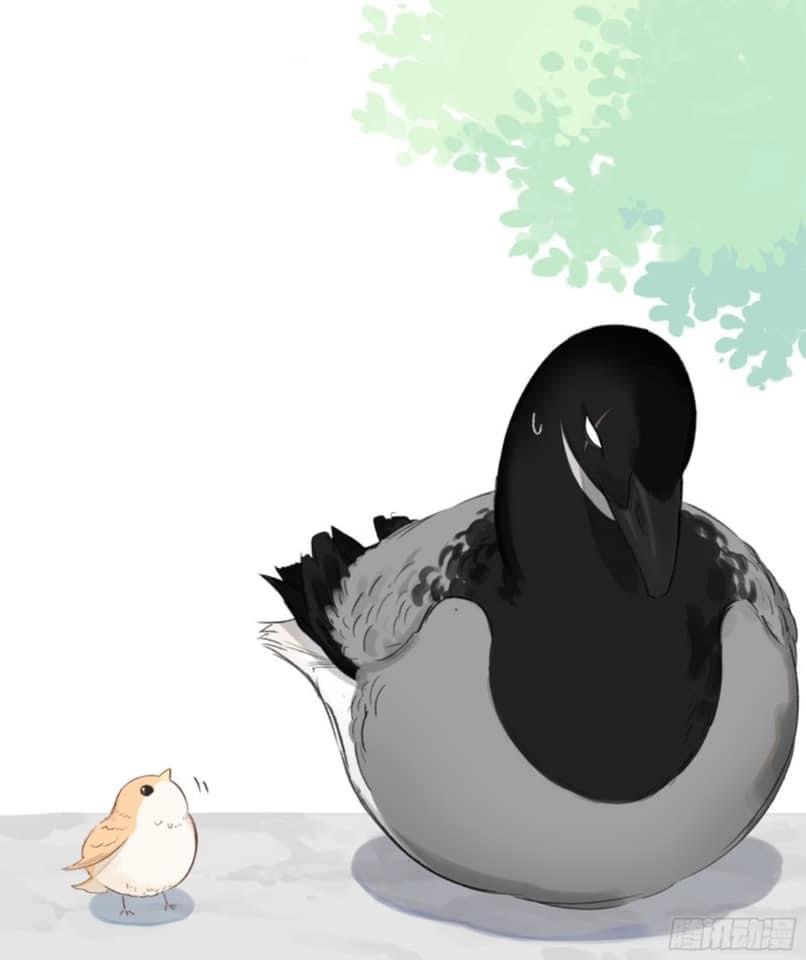 sẻ chiếu mới và nhạn phong sương chapter 1 1