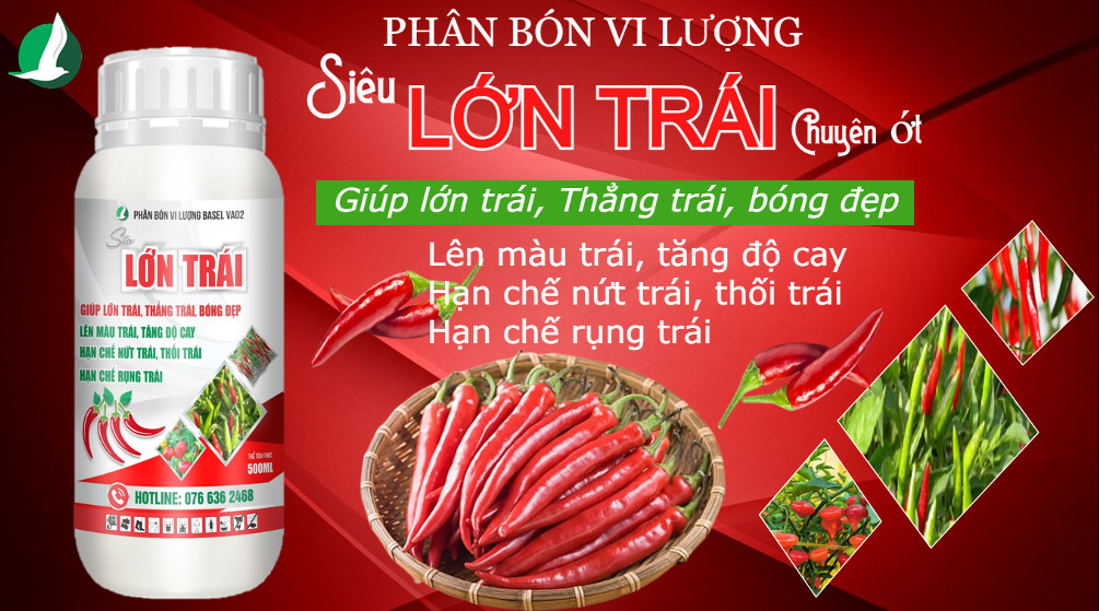PHÂN BÓN LỚN TRÁI ỚT - GIÚP TRÁI LỚN NHANH, TĂNG ĐỘ CAY, HẠN CHẾ THỐI TRÁI CHAI 500ML