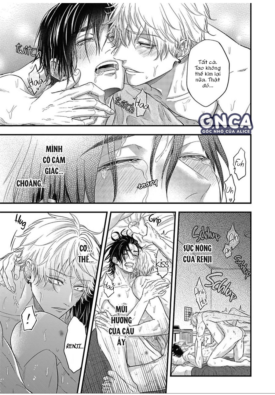 anh đào của một người chapter 6 11