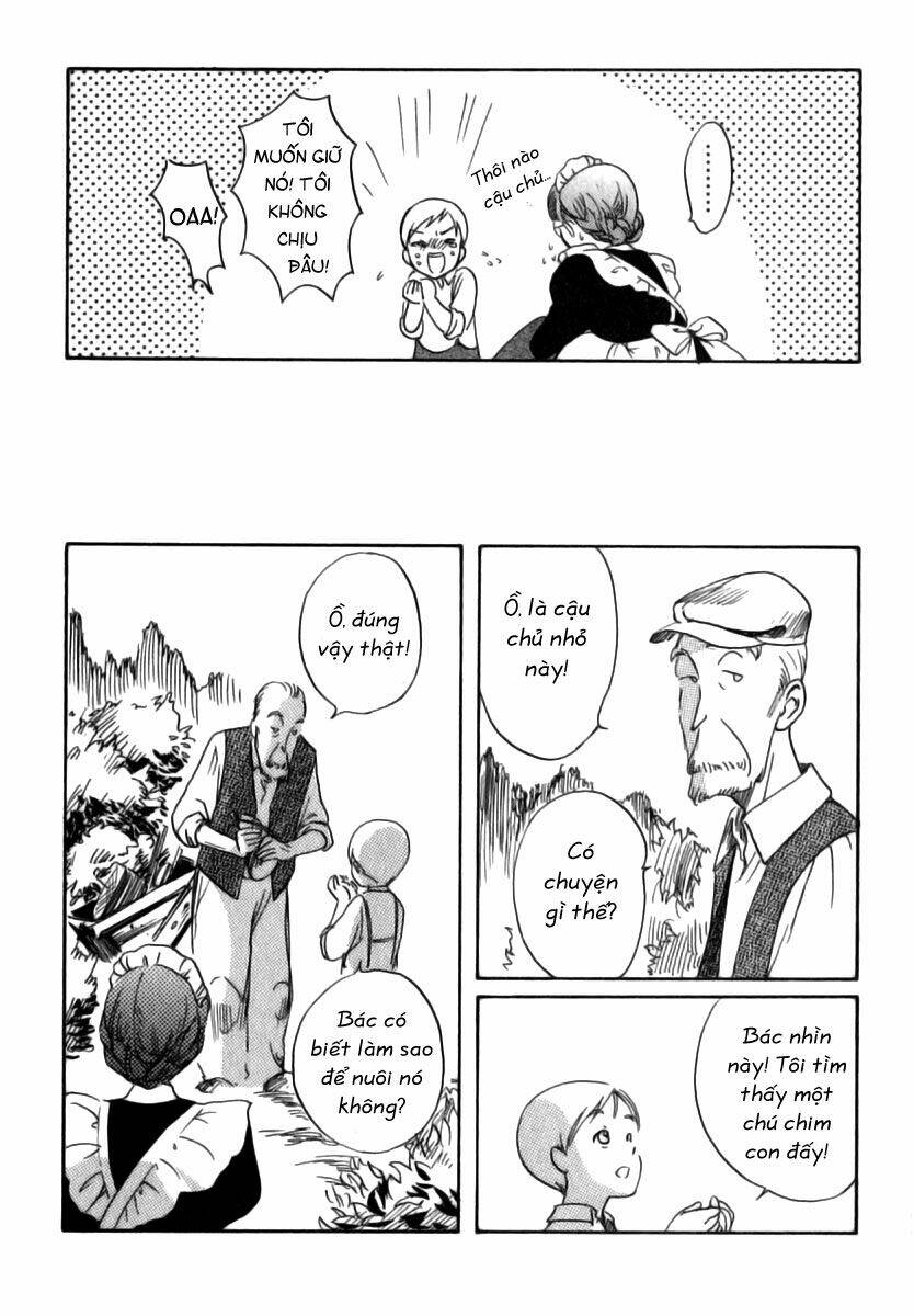 shirley chapter 6 14