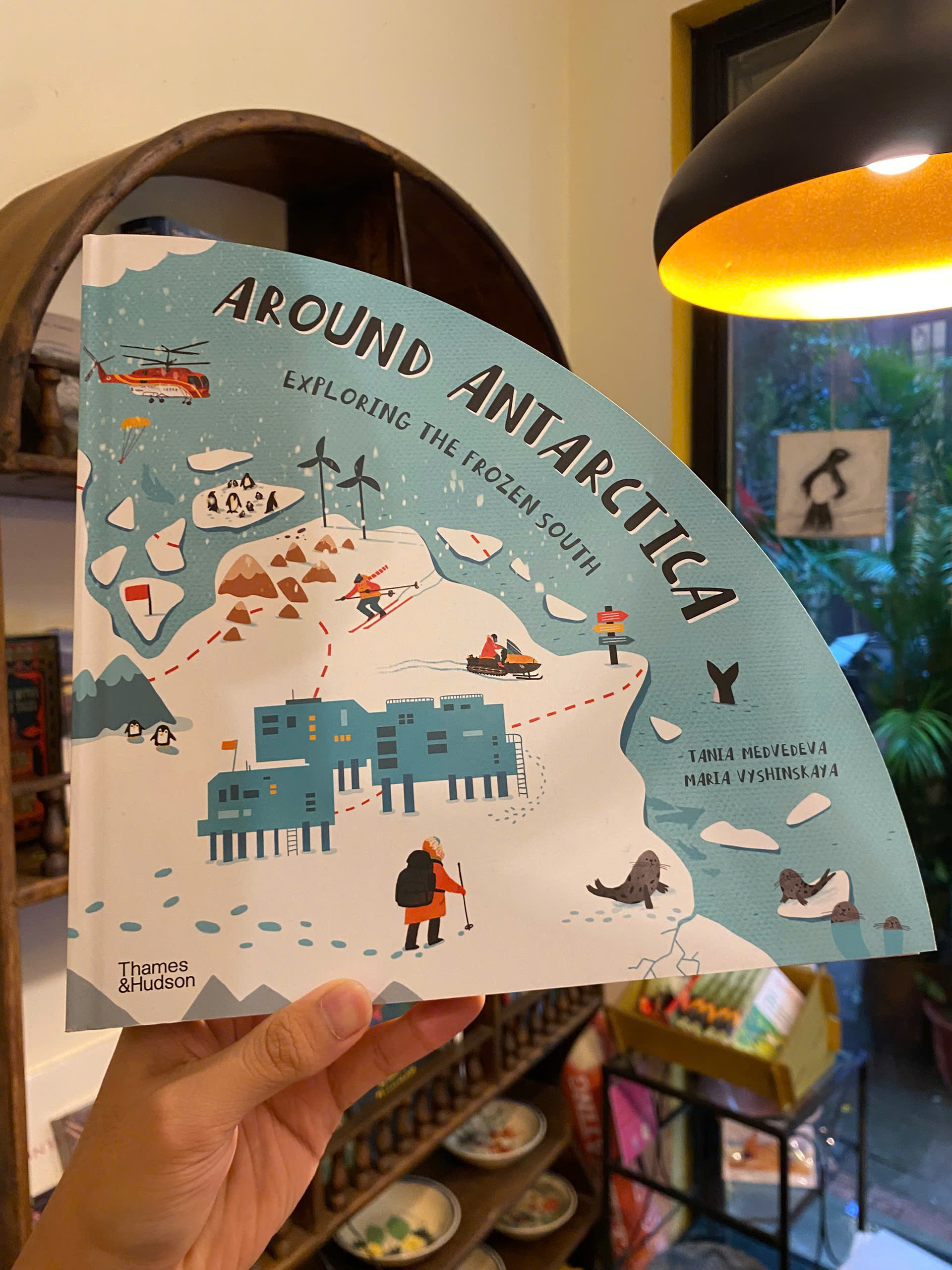 Sách - Around Antarctica: Exploring the Frozen South by Tania Medvedeva | Children English Book