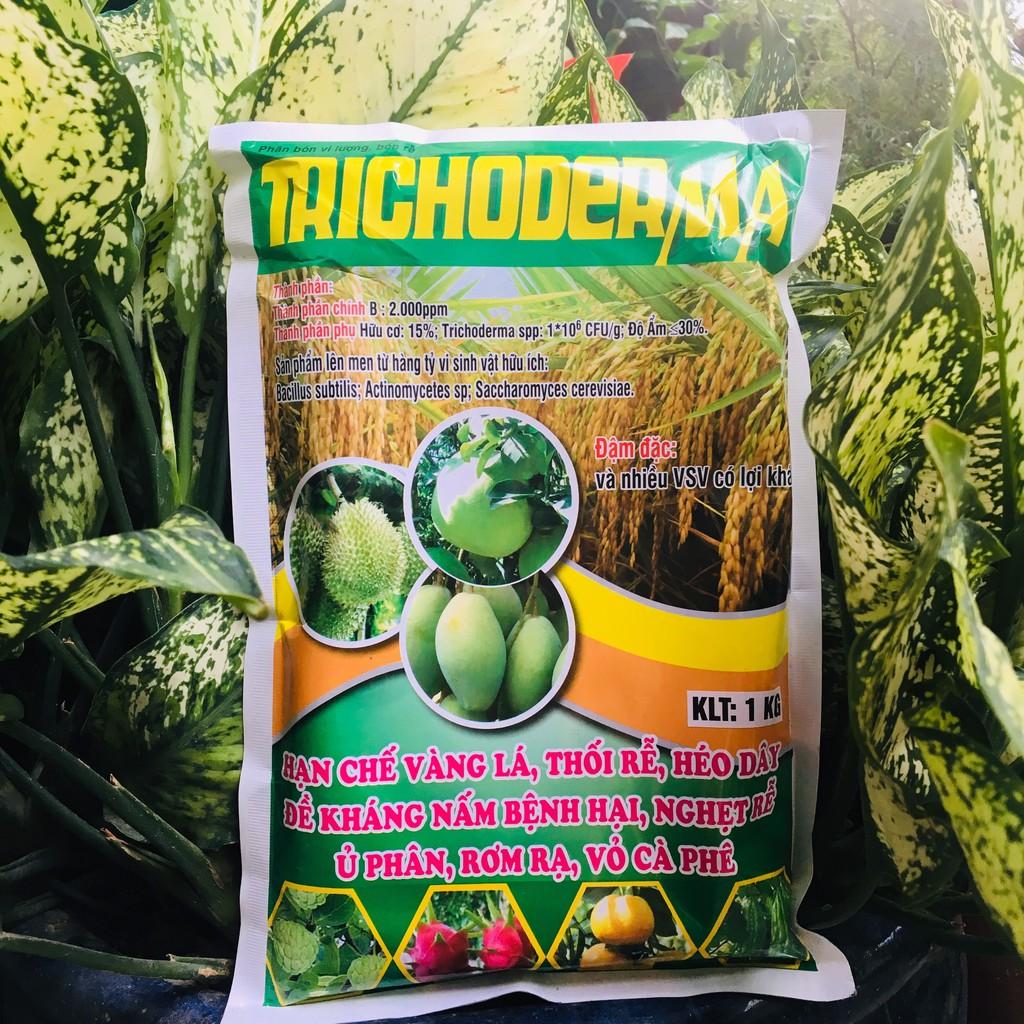 Gói 1kg Chế Phẩm Sinh Học Nấm Trichoderma đối kháng bệnh - Ủ phân vi sinh, phòng bệnh trị nấm cho cây trồng