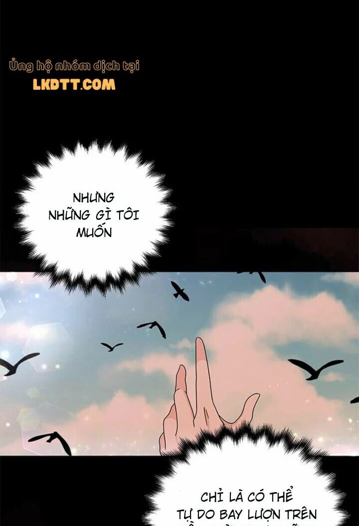 nữ hiệp trở về chapter 24 88